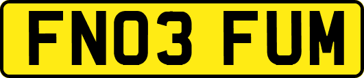 FN03FUM