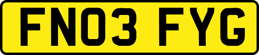 FN03FYG