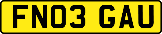 FN03GAU