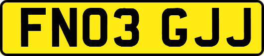 FN03GJJ