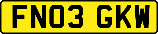 FN03GKW