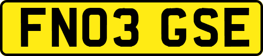 FN03GSE