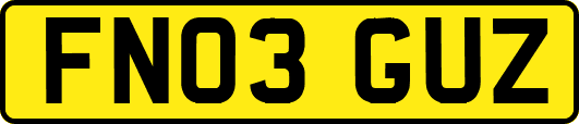 FN03GUZ