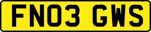 FN03GWS