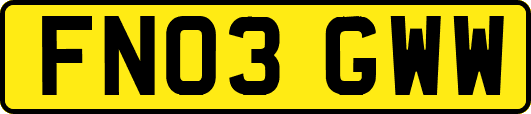 FN03GWW