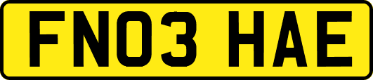FN03HAE
