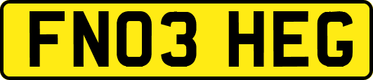 FN03HEG