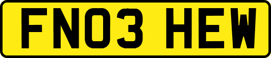 FN03HEW