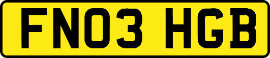 FN03HGB