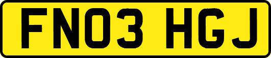 FN03HGJ