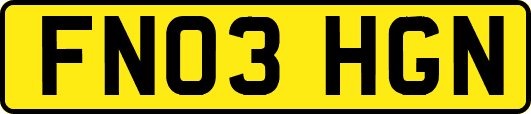 FN03HGN