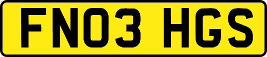 FN03HGS