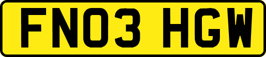 FN03HGW