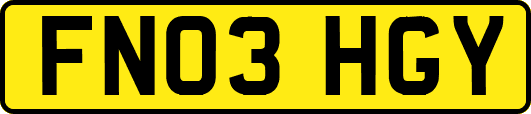 FN03HGY