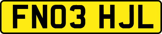FN03HJL