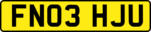 FN03HJU