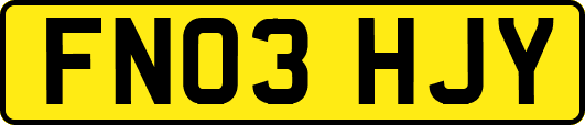 FN03HJY