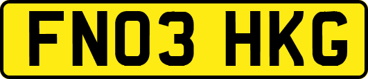 FN03HKG