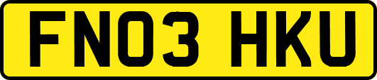 FN03HKU