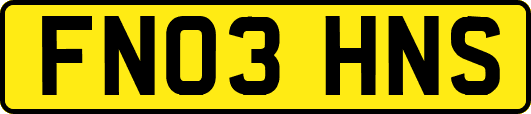 FN03HNS