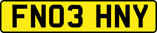 FN03HNY