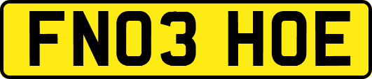 FN03HOE