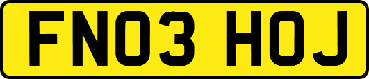 FN03HOJ