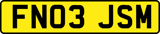 FN03JSM