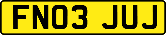 FN03JUJ