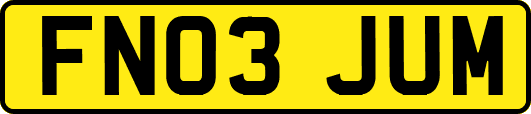 FN03JUM