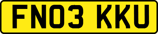 FN03KKU