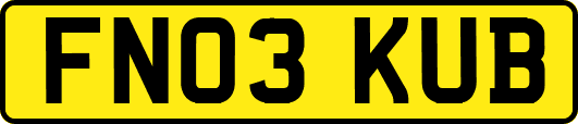 FN03KUB