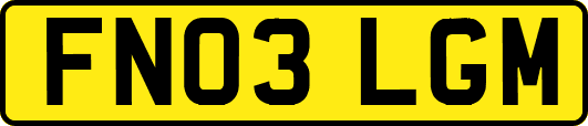 FN03LGM