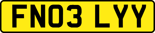 FN03LYY
