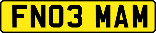 FN03MAM
