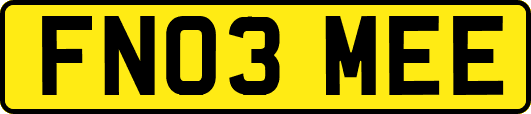 FN03MEE