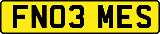 FN03MES