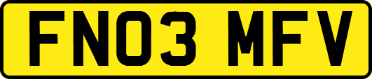 FN03MFV