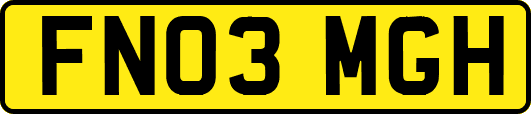 FN03MGH