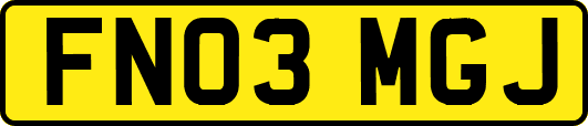 FN03MGJ