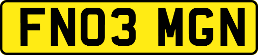 FN03MGN