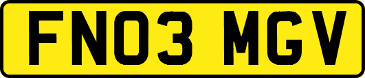 FN03MGV