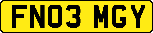 FN03MGY