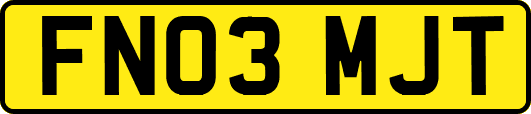 FN03MJT
