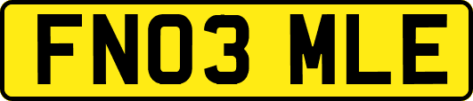 FN03MLE