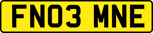 FN03MNE
