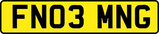 FN03MNG