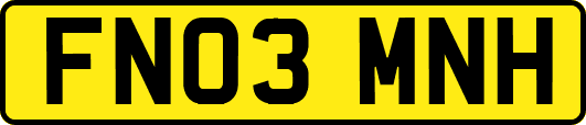 FN03MNH