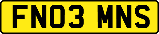 FN03MNS