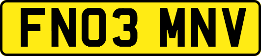 FN03MNV